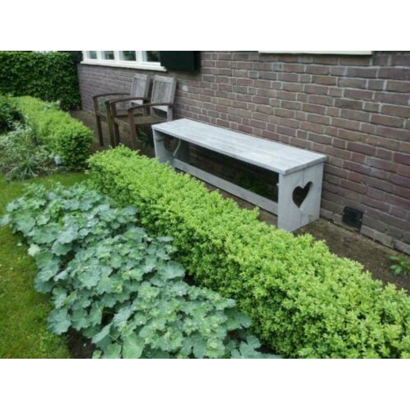 Hulp in de tuin, tuinman, tuin onderhoud