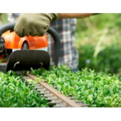 Hulp in de tuin, tuinman, tuin onderhoud