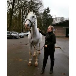 Verzorger/bijrijder aangeboden omgeving heteren