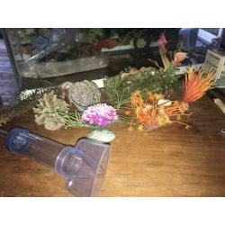 Juwel Aquarium met diverse toebehoren 70x30