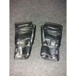 Bokshandschoenen (training en zaktraining)