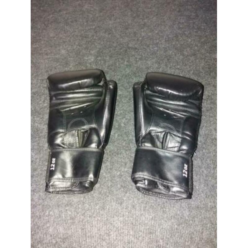 Bokshandschoenen (training en zaktraining)