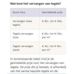 Horeca Tegelzetter hééft tijd voor reparatie tegelwerk