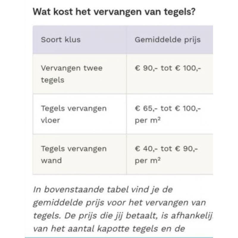 Horeca Tegelzetter hééft tijd voor reparatie tegelwerk