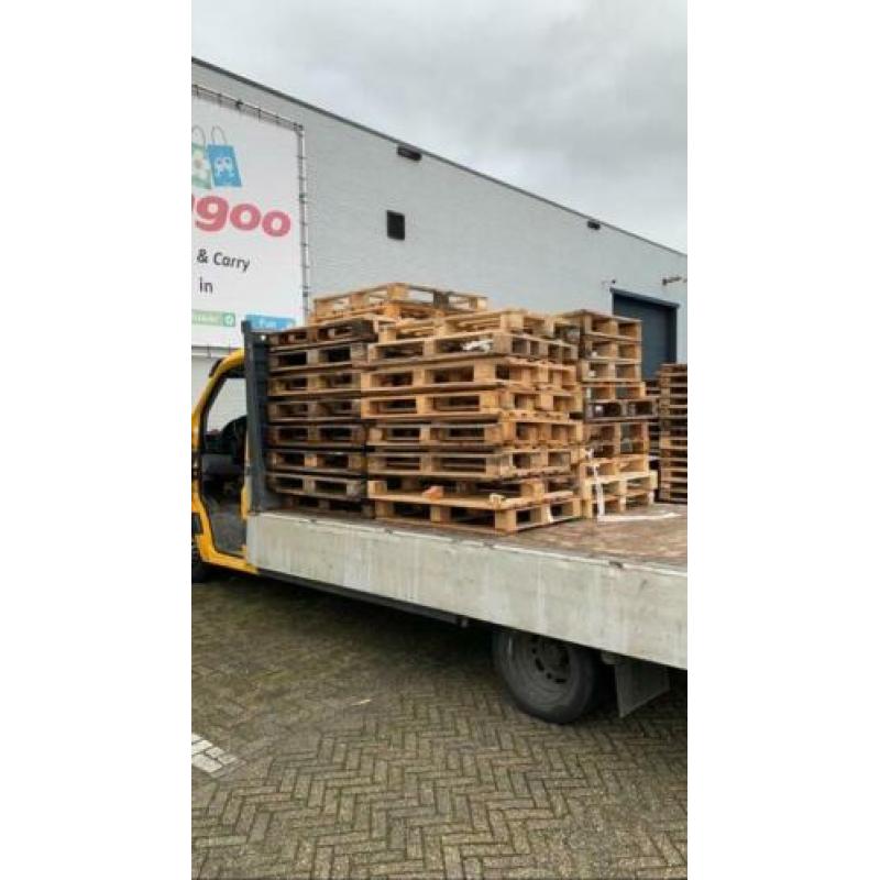 Pallets te koop gevraagd (blok, wegwerp, euro, cp & plastic)