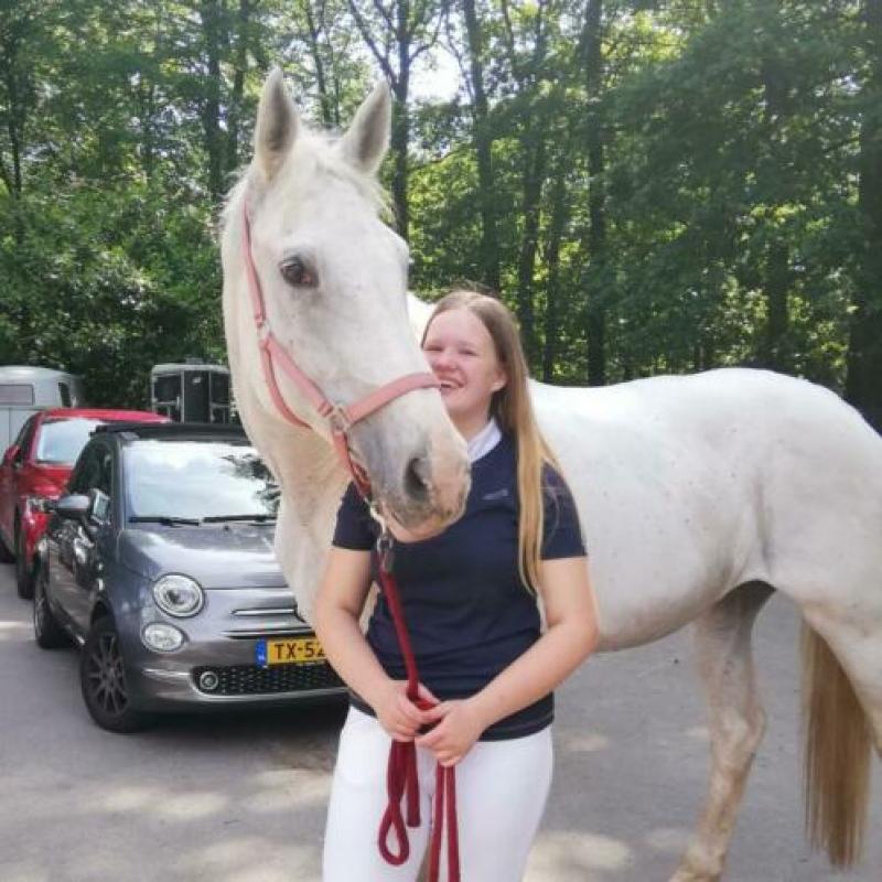 Verzorger/bijrijder aangeboden omgeving heteren