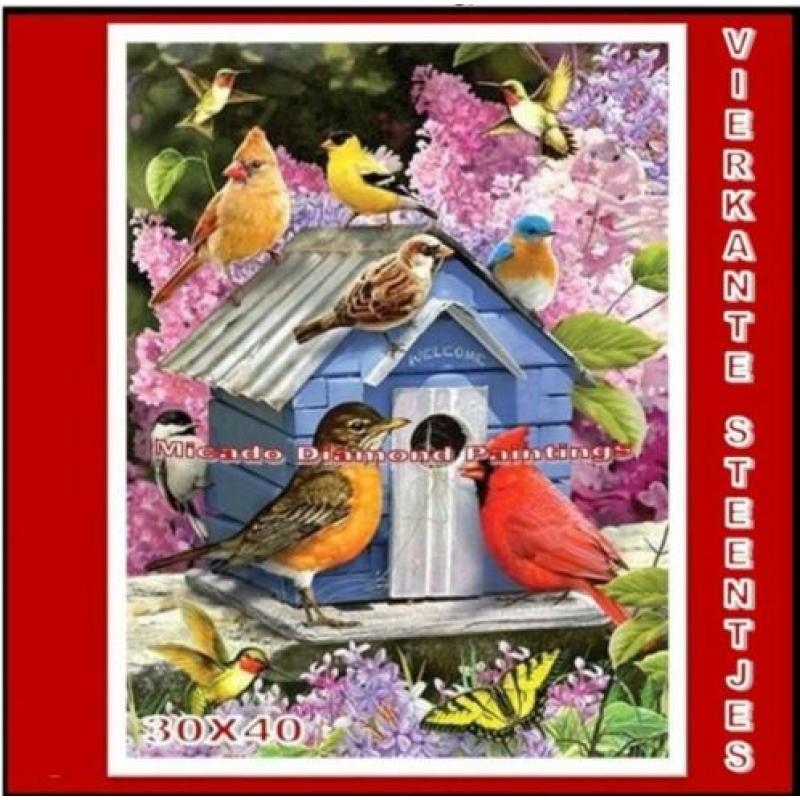 ¦ Diamond Painting Vogelhuisje 30*40 Full-Volledig