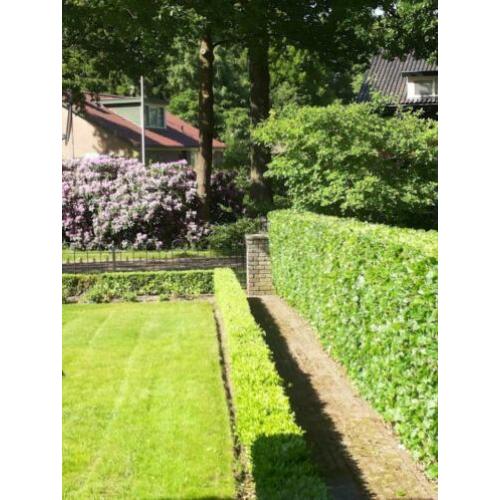 Hulp in de tuin, tuinman, tuin onderhoud
