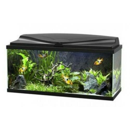 Ciano Aquarium aqua 80cm CF150 zwart