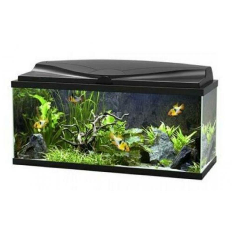 Ciano Aquarium aqua 80cm CF150 zwart
