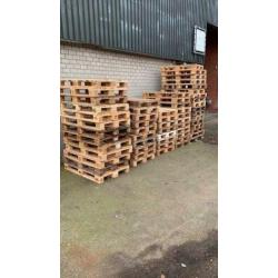 Pallets te koop gevraagd (blok, wegwerp, euro, cp & plastic)