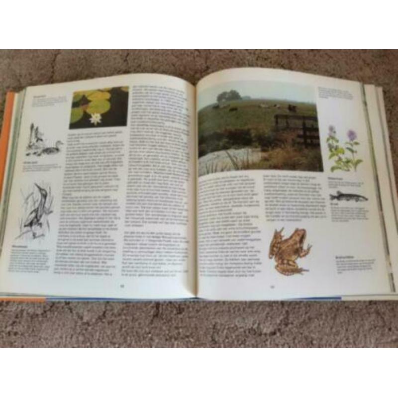 Logboek natuur: verkenning van 12 Nederlandse natuurgebieden
