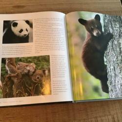 Babydieren - Een boek vol schattige jonkies - Daniel Gilpin