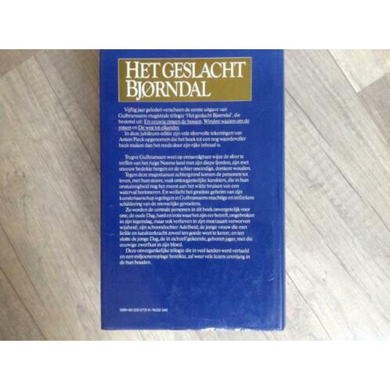 Het geslacht Bjorndal van Trygve Gulbranssen