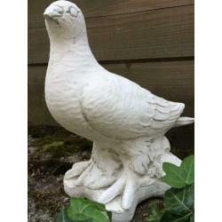 Duif vol steen, leuk-beeld-tuinbeeld-duif-lief