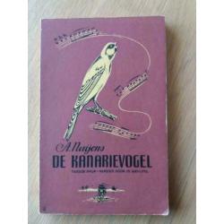 De Kanarievogel - A Nuijens