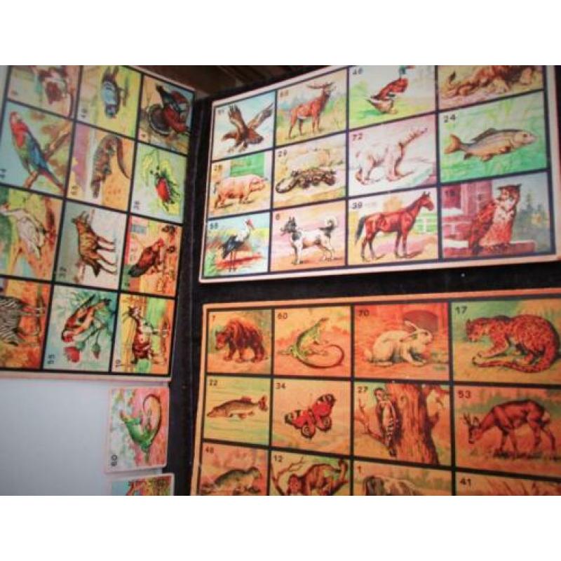 Antiek Dierenlotto~Speelgoed~Lotto~Lottokaarten~Dieren plaat
