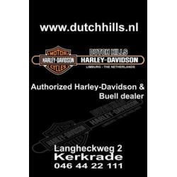 Harley-Davidson XL883 N Iron (bj 2019)