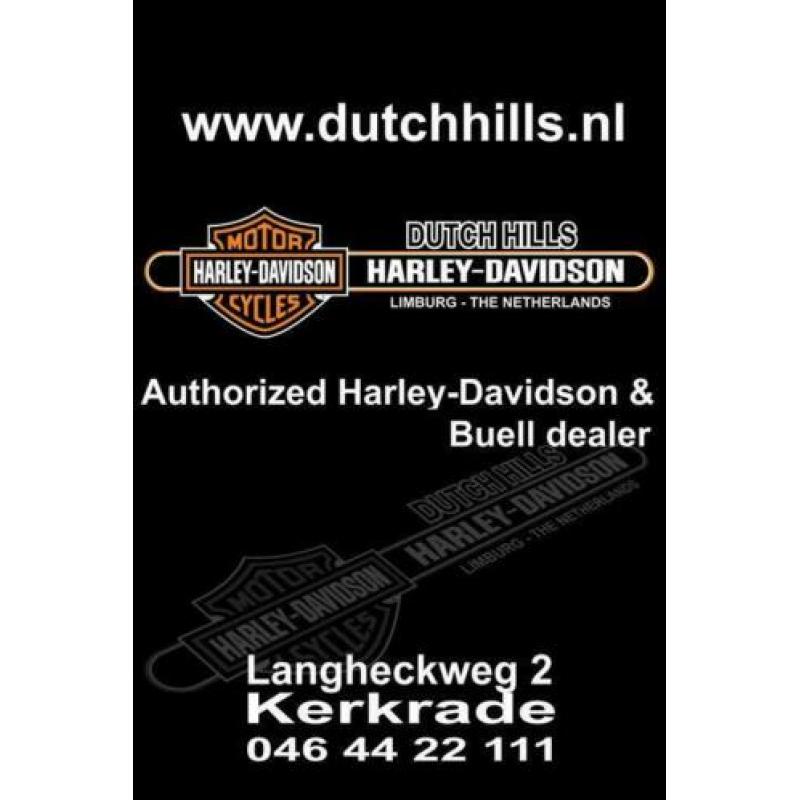 Harley-Davidson XL883 N Iron (bj 2019)