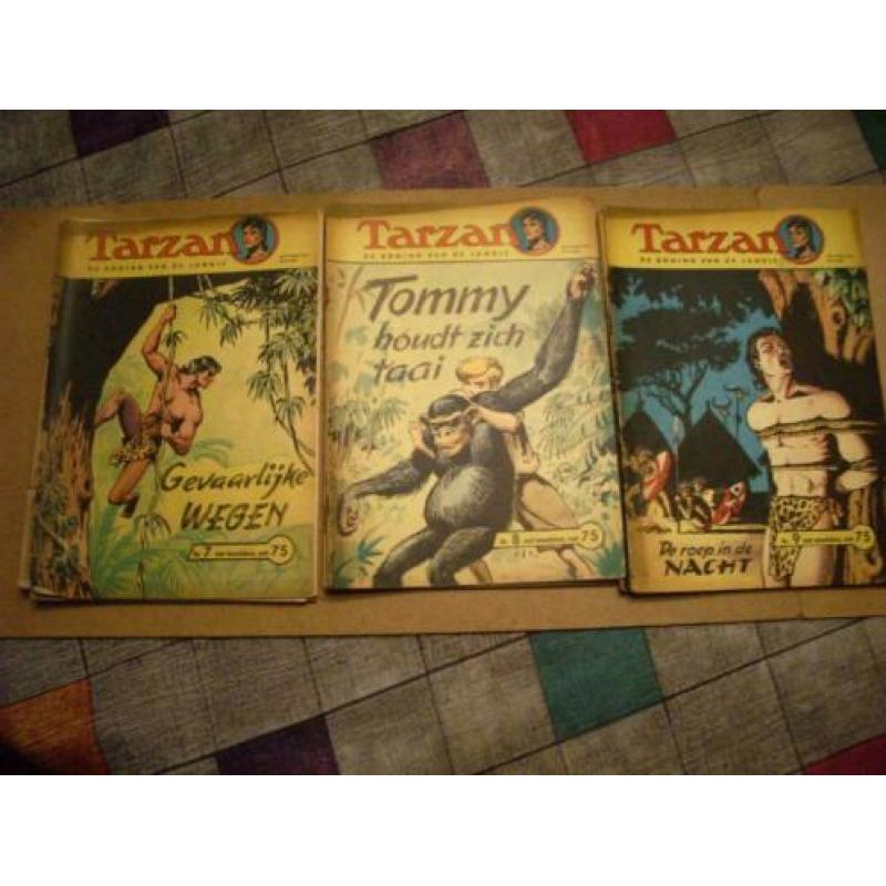 Tarzan de koning van de jungle