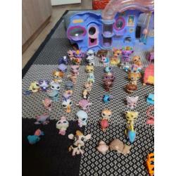 Littlest petshop doos vol