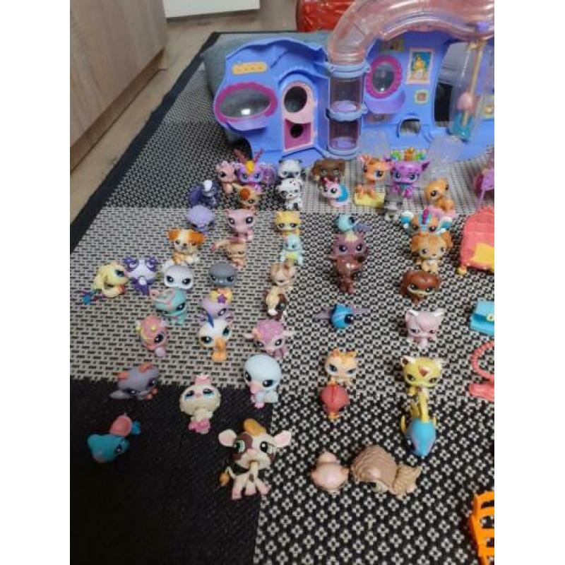 Littlest petshop doos vol