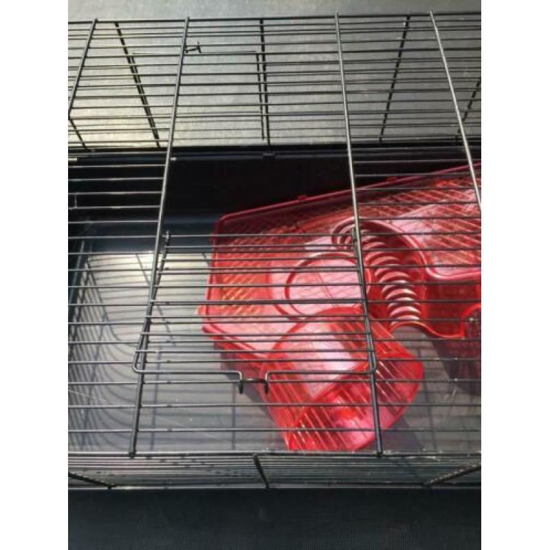Hamster kooi
