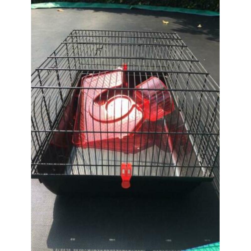 Hamster kooi