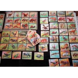 Antiek Dierenlotto~Speelgoed~Lotto~Lottokaarten~Dieren plaat