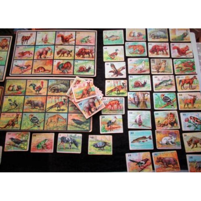 Antiek Dierenlotto~Speelgoed~Lotto~Lottokaarten~Dieren plaat