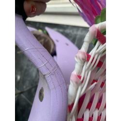 Early rider loopfiets Lila gespoten met mandje