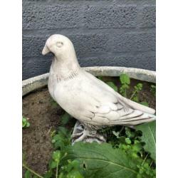 Duif vol steen, leuk-beeld-tuinbeeld-duif-lief