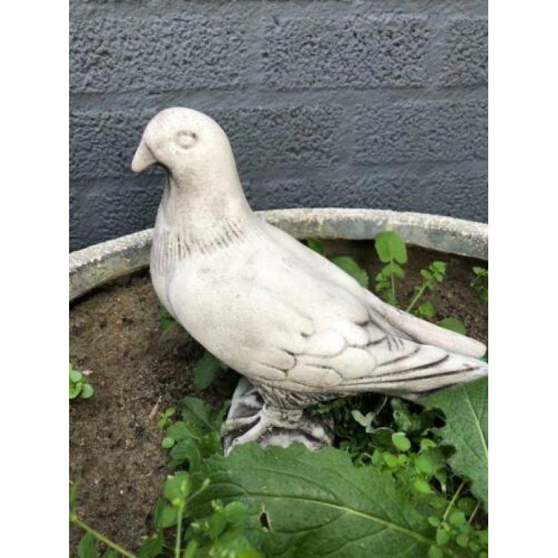 Duif vol steen, leuk-beeld-tuinbeeld-duif-lief
