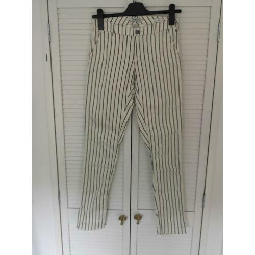 Broek Maison Scotch
