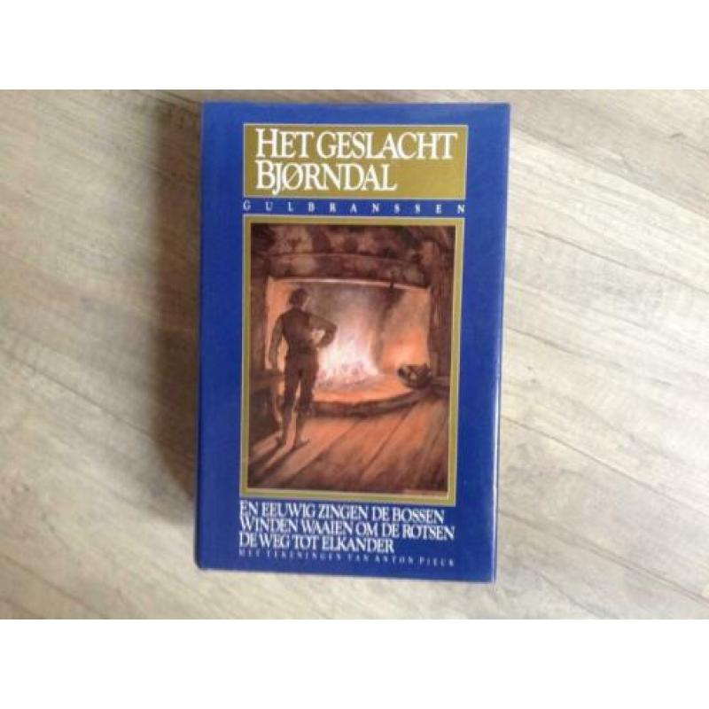 Het geslacht Bjorndal van Trygve Gulbranssen