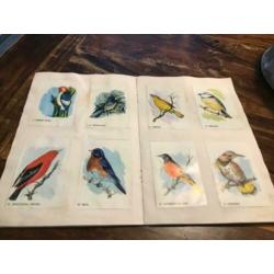 Plakboek bolletje vogels en oldtimers