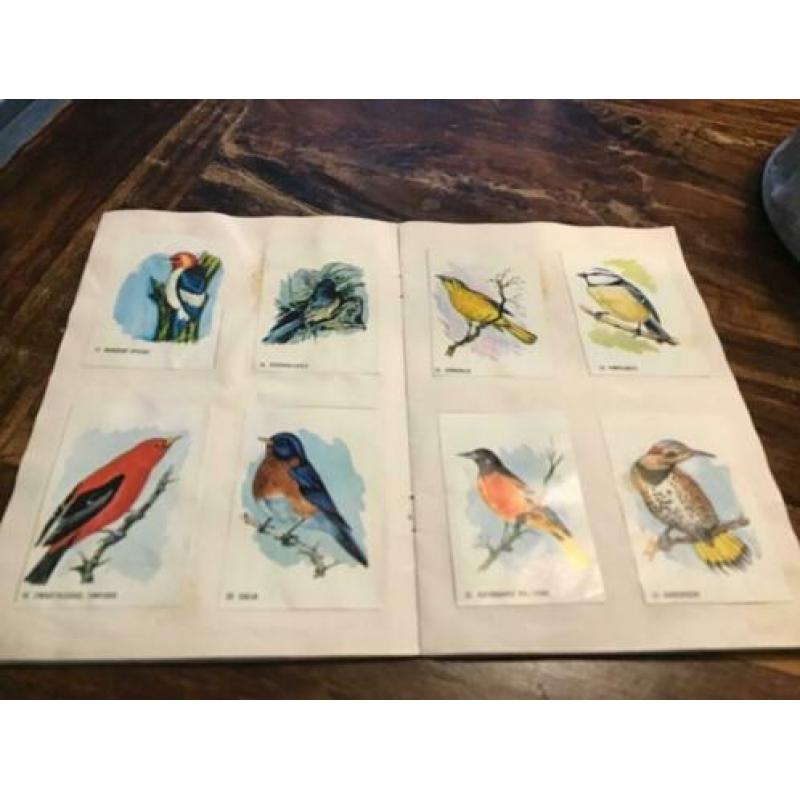 Plakboek bolletje vogels en oldtimers
