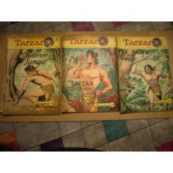Tarzan de koning van de jungle