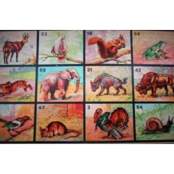 Antiek Dierenlotto~Speelgoed~Lotto~Lottokaarten~Dieren plaat