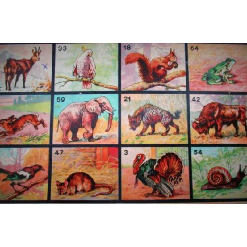 Antiek Dierenlotto~Speelgoed~Lotto~Lottokaarten~Dieren plaat
