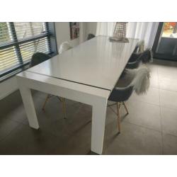 Lange Eetkamertafel + 6 Eetkamerstoelen