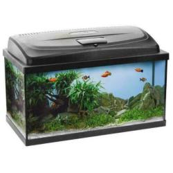 Aquarium, grootte keus, de mooiste aquaria!