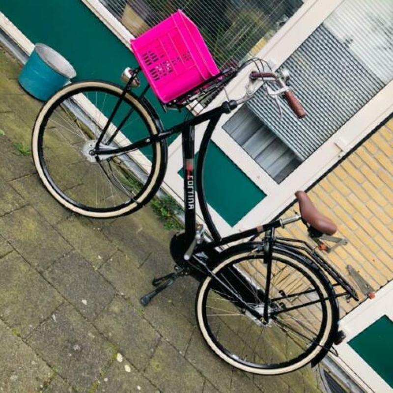 Cortina dames fiets