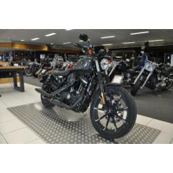 Harley-Davidson XL883 N Iron (bj 2019)