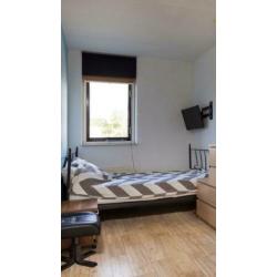 Twijfelaar 120x200