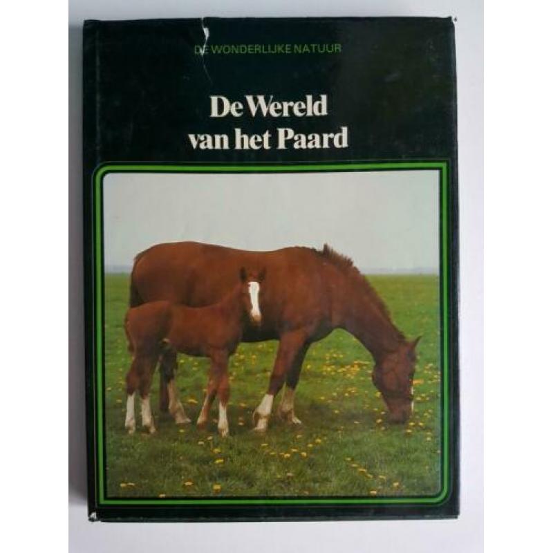 Lekturama, de wonderlijke natuur, de wereld van het paard