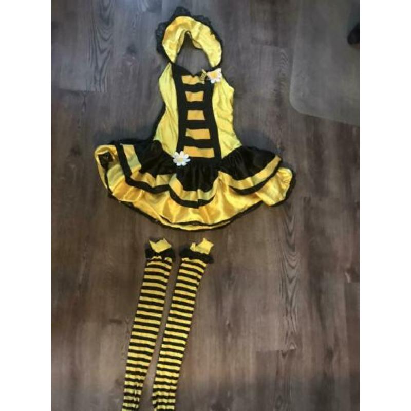 Bijenpak carnaval dames s/m