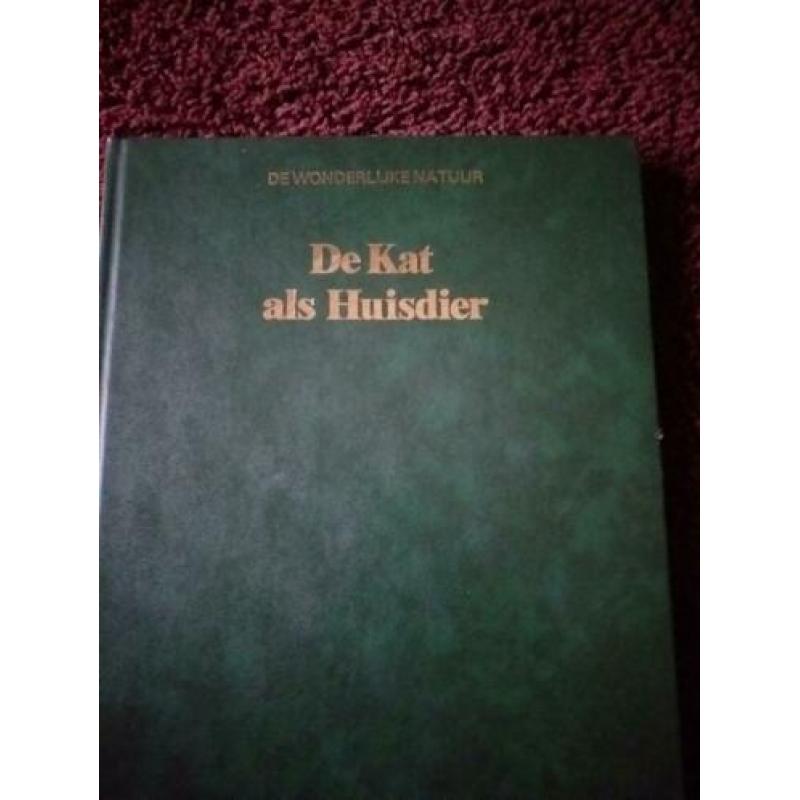 De kat als huisdier.