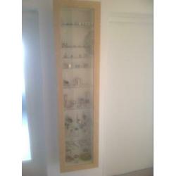 Wand vitrinekast ( zonder inhoud )