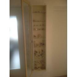Wand vitrinekast ( zonder inhoud )